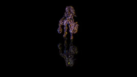 Render 3D animation, model girl from the game in a pot on a black background Stock Footage 255274553