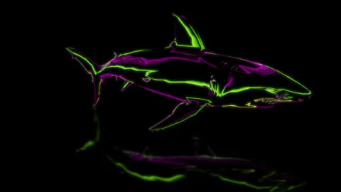 Render 3D animation of the model shark on a black background future technology Stock Footage 252387382