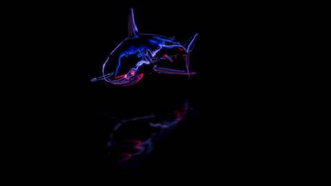 Render 3D animation of the model shark on a black background future technology Stock Footage 252577172