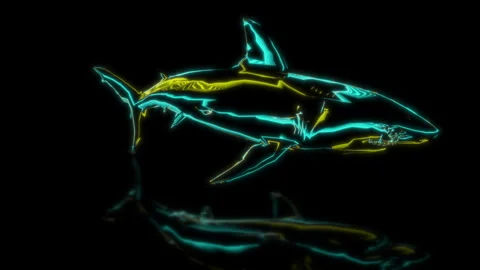 Render 3D animation of the model shark on a black background future technology Stock Footage 252654652