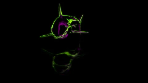 Render 3D animation of the model shark on a black background future technology Stock Footage 252721681