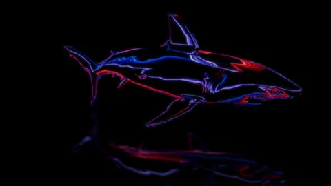 Render 3D animation. model shark on a black background future technology screen Stock Footage 252849794