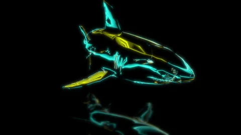 Render 3D animation. model shark on a black background future technology screen Stock Footage 252983705