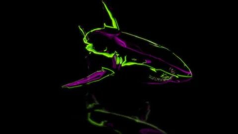 Render 3D animation. model shark on a black background future technology screen Stock Footage 253208542