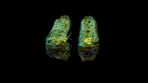 Render 3D animation, model shoes in a pot on a black background Stock Footage 255127672