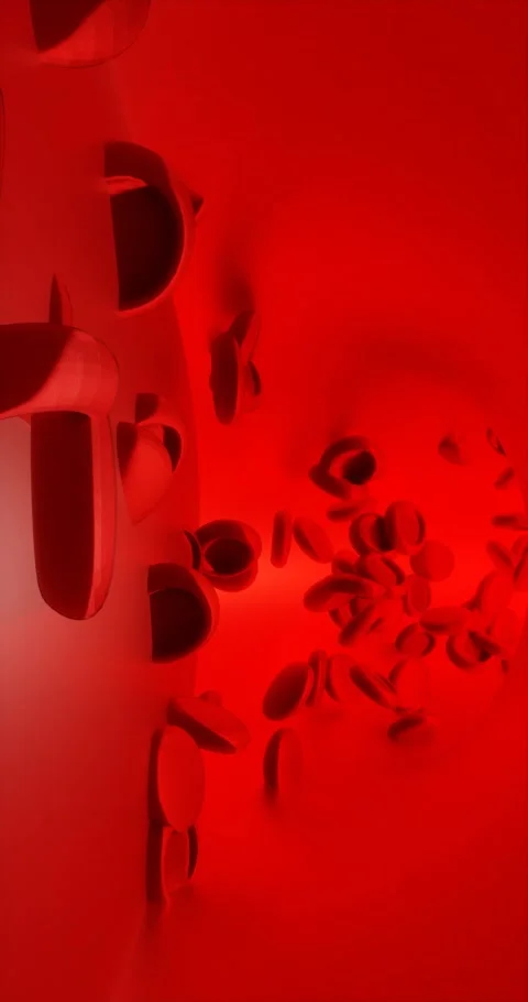 Render animation three-dimensional red blood cells in motion flowing Stock Footage 306615689