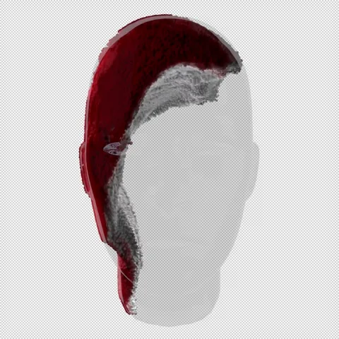 Render head particles rotation red Stock Footage 335214311