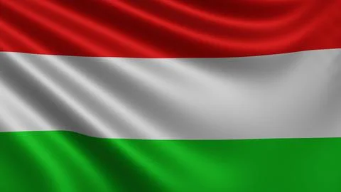 Render of the Hungary flag flutters in the wind close-up, the national flag of Stock Illustration