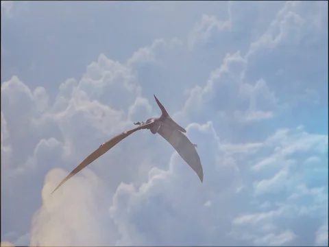 Render realistic 3D dinosaur flying on sky background Stock Footage