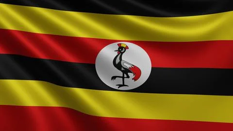 Render of the Uganda flag flutters in the wind close-up, the national flag of Stock Illustration