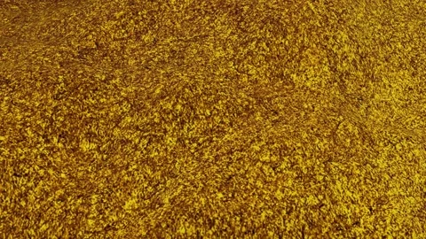 Render85 Stock Footage 171725817