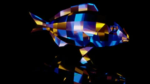 Rendering 3D animation, Low Poly Seabream model on a black background Stock Footage 260451865
