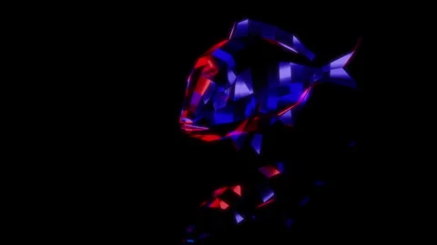 Rendering 3D animation, Low Poly Seabream model on a black background Stock Footage 261709616
