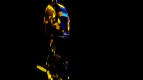 Rendering 3D animation, Low Poly Seabream model on a black background Stock Footage 262465204