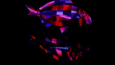 Rendering 3D animation, Low Poly Seabream model on a black background Stock Footage 262615744