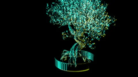 Rendering 3D animation, Pink Bonsai model on a black background Stock Footage 260049874