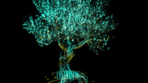 Rendering 3D animation, Pink Bonsai model on a black background Stock Footage 260809936