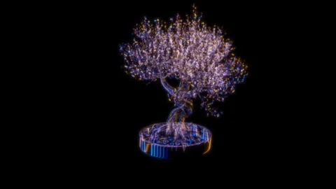 Rendering 3D animation, Pink Bonsai model on a black background Stock Footage 261215774