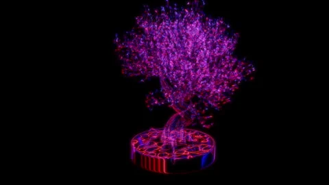 Rendering 3D animation, Pink Bonsai model on a black background Stock Footage 261713026