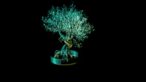 Rendering 3D animation, Pink Bonsai model on a black background Stock Footage 262092242