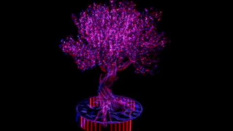 Rendering 3D animation, Pink Bonsai model on a black background Stock Footage 262618201
