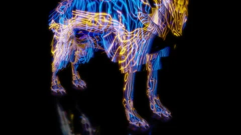 Rendering 3D animation, VISUAL EFFECTS Wolf model on a black background Stock Footage 260459258