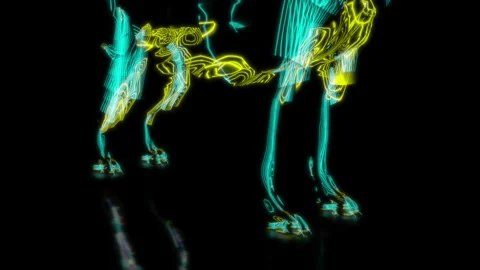 Rendering 3D animation, VISUAL EFFECTS Wolf model on a black background Stock Footage 260813339