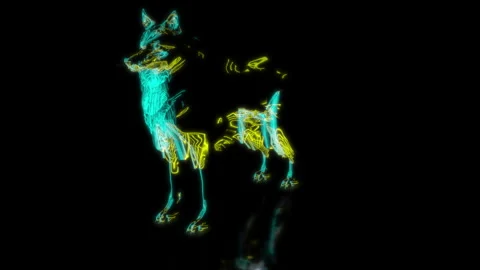 Rendering 3D animation, VISUAL EFFECTS Wolf model on a black background Stock Footage 262095478