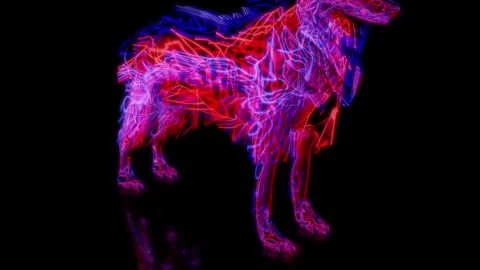 Rendering 3D animation, VISUAL EFFECTS Wolf model on a black background Stock Footage 262622329