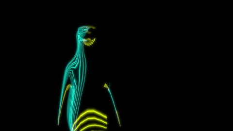 Rendering 3D animation, VISUAL EFFECTS Penguin on a black background Video stock 263616297