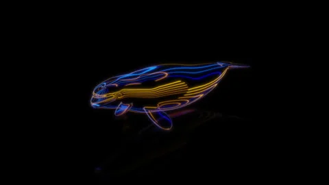 Rendering 3D animation, VISUAL EFFECTS Cartoon Beluga Whale on a black Vídeo Stock 263957234