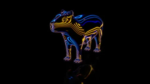 Rendering 3D animation, VISUAL EFFECTS Cartoon Capybara on a black background Vídeo Stock 263957504