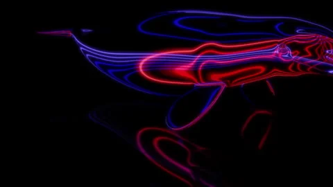 Rendering 3D animation, VISUAL EFFECTS Cartoon Beluga Whale on a black Stock Footage 264034360