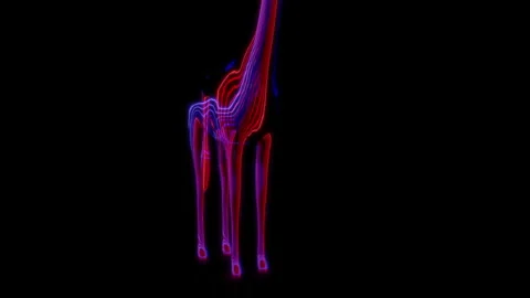 Rendering 3D animation, VISUAL EFFECTS Cartoon Gitaffe on a black background Stock Footage 264035071