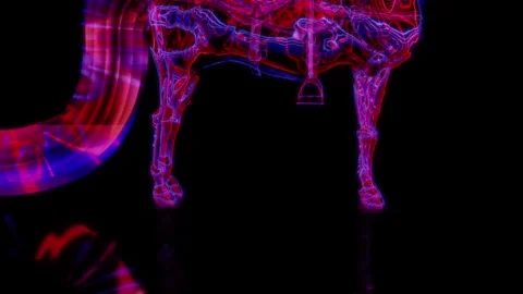 Rendering 3D animation, VISUAL EFFECTS Arab Horse on a black background Stock Footage 264035571