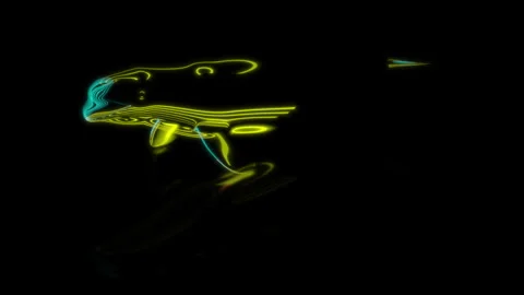 Rendering 3D animation, VISUAL EFFECTS Cartoon Beluga Whale on a black Stock Footage 264486330