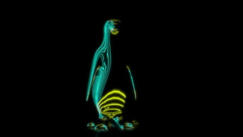 Rendering 3D animation, VISUAL EFFECTS Penguin on a black background Stock Footage 264486723