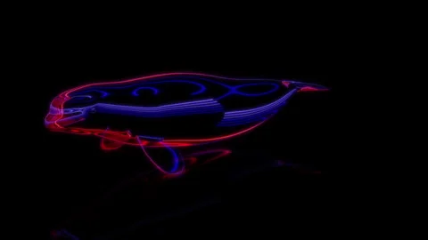 Rendering 3D animation, VISUAL EFFECTS Cartoon Beluga Whale on a black Stock Footage 264948788
