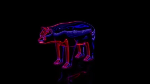 Rendering 3D animation, VISUAL EFFECTS Cartoon Clay Bear on a black background Video stock 264948861