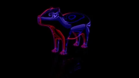 Rendering 3D animation, VISUAL EFFECTS Cartoon Capybara on a black background Stock Footage 264948911