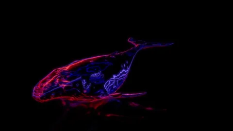 Rendering 3D animation, VISUAL EFFECTS Whale on a black background Stock Footage 264949307