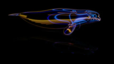 Rendering 3D animation, VISUAL EFFECTS Cartoon Beluga Whale on a black Stock Footage 265141520