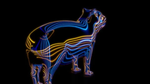 Rendering 3D animation, VISUAL EFFECTS Cartoon Capybara on a black background Stock Footage 265141769