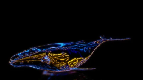 Rendering 3D animation, VISUAL EFFECTS Whale on a black background Video stock 265142322