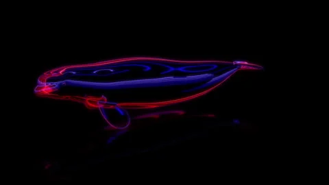 Rendering 3D animation, VISUAL EFFECTS Cartoon Beluga Whale on a black Stock Footage 265442993