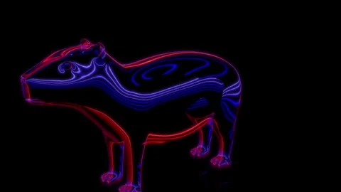 Rendering 3D animation, VISUAL EFFECTS Cartoon Capybara on a black background Stock Footage 265443827