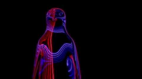 Rendering 3D animation, VISUAL EFFECTS Penguin on a black background Video stock 265444127