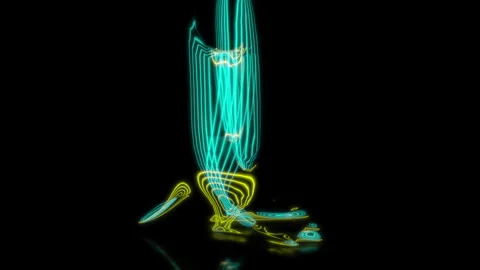 Rendering 3D animation, VISUAL EFFECTS Penguin on a black background Stock Footage 266827846