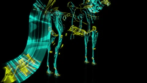 Rendering 3D animation, VISUAL EFFECTS Arab Horse on a black background Stock Footage 266829608