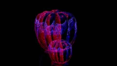 Rendering 3D animation, VISUAL EFFECTS pepper gourd Model on a black background Stock Footage 267013894